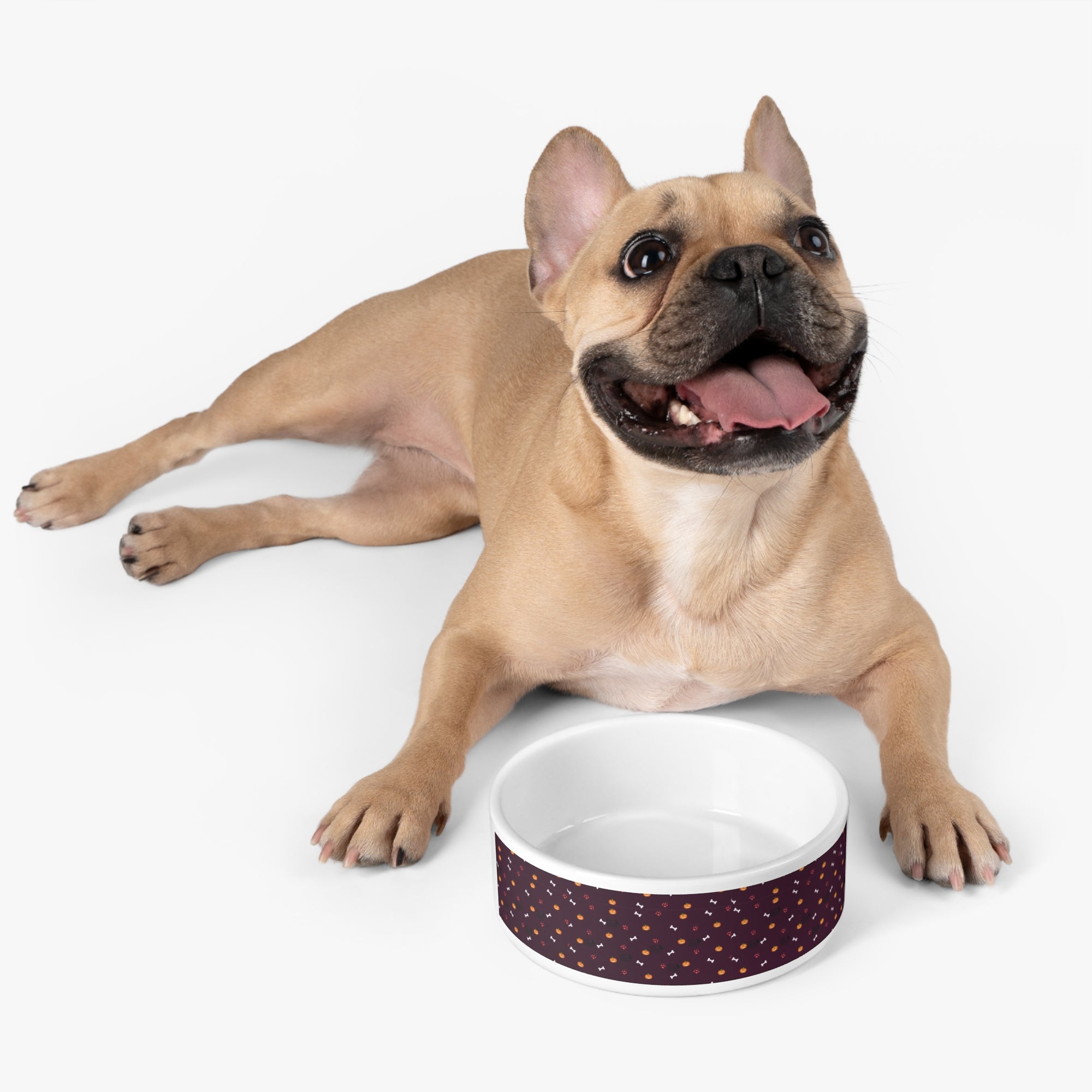 Stylish Pet Bowl for Dogs and Cats, Cute Dog Dish, Pet Decor, Customizable Pet Supplies, Animal Lover Gift
