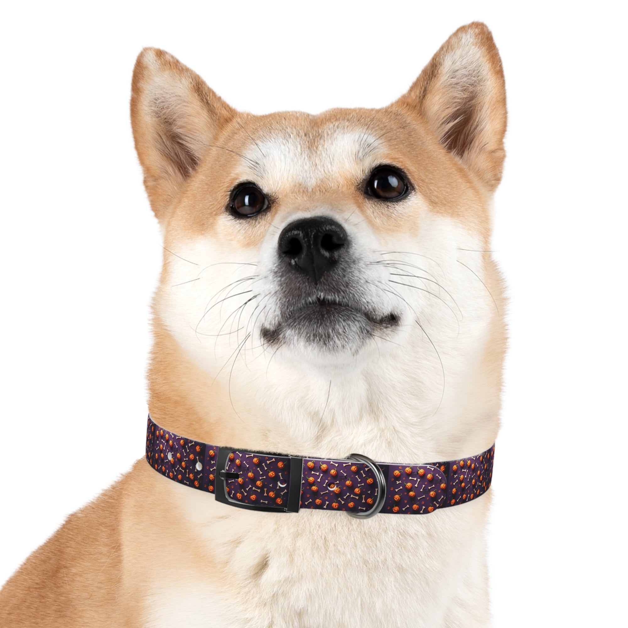 Whimsical Dog Collar, Pet Accessory, Stylish Collar for Dogs, Fun Dog Gear, Gift for Dog Lovers, Personalized Dog Accessory