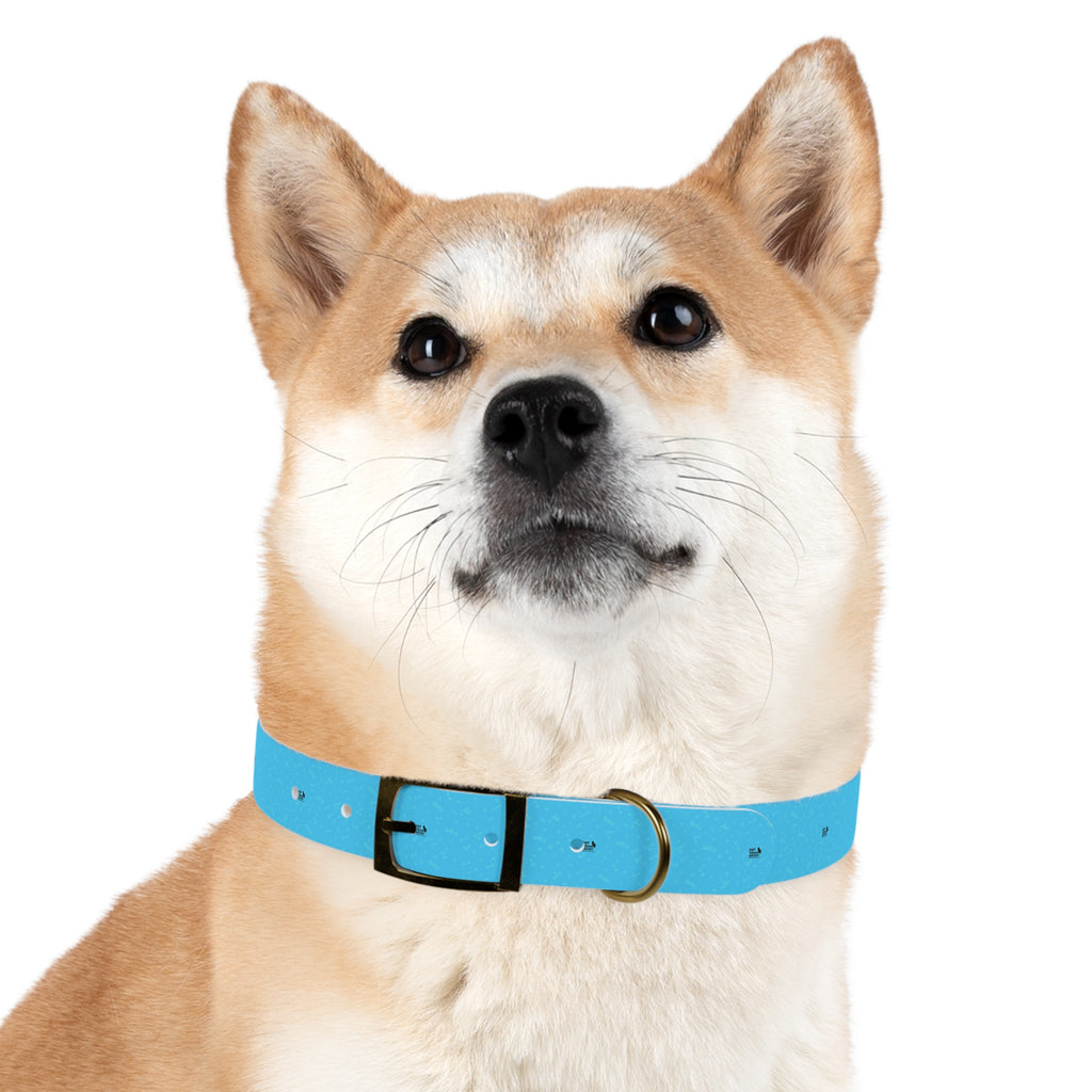 Stylish Dog Collar, Custom Pet Accessory for Dog Lovers, Adjustable Collar for Medium to Large Dogs, Perfect Gift for Pet Owners, Fun [...]
