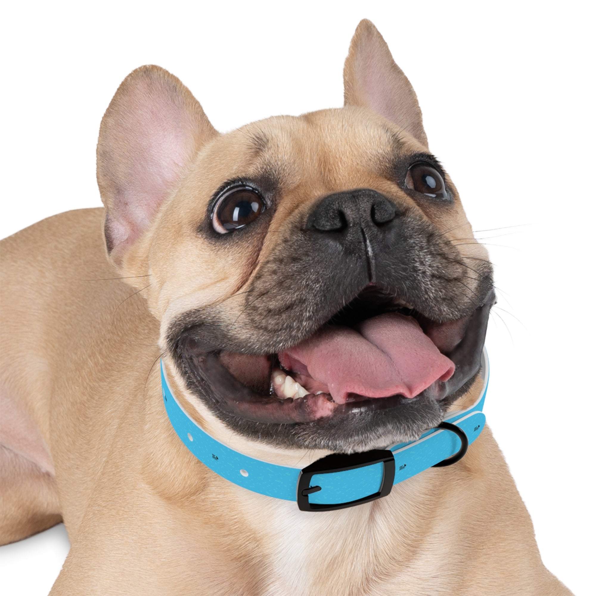 Stylish Dog Collar, Custom Pet Accessory for Dog Lovers, Adjustable Collar for Medium to Large Dogs, Perfect Gift for Pet Owners, Fun [...]