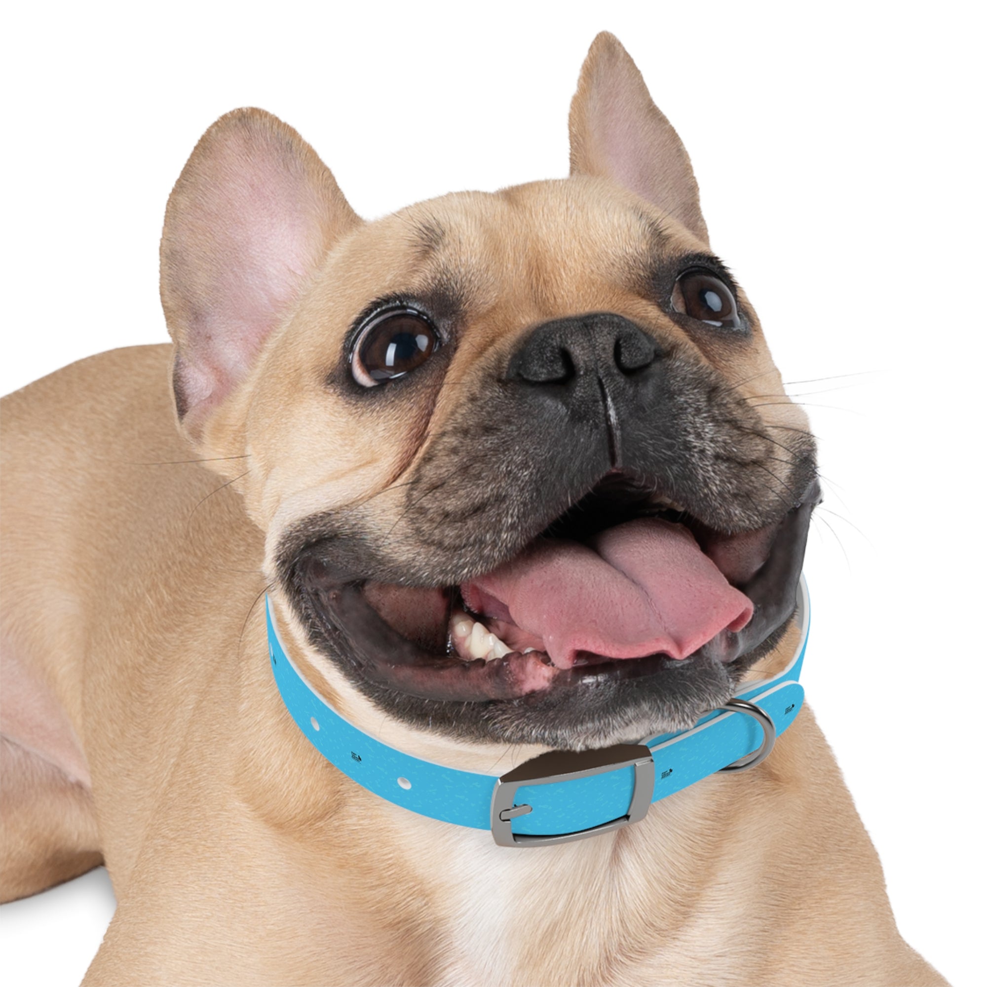 Stylish Dog Collar, Custom Pet Accessory for Dog Lovers, Adjustable Collar for Medium to Large Dogs, Perfect Gift for Pet Owners, Fun [...]