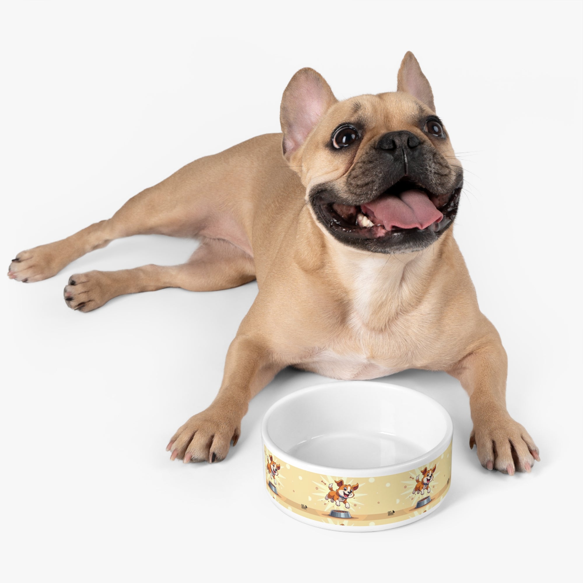 Playful Pet Bowl for Dogs, Colorful Dog Dish, Customizable Pet Dish, Fun Feeding Bowl for Pets, Pet Gift for Pet Lovers