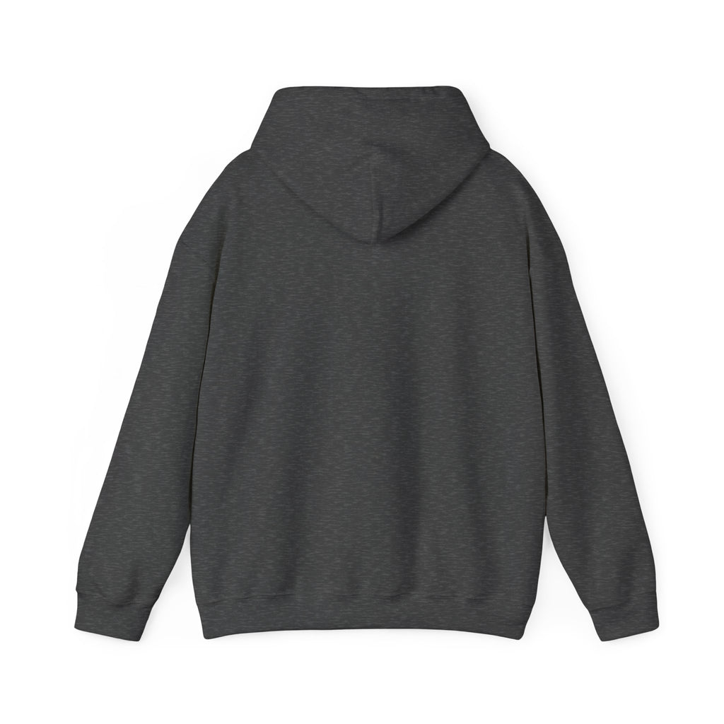 Red Sun Graphic Hoodie for Fans, Perfect for Cozy Days, Gifting, Festivals, and Casual Outings.