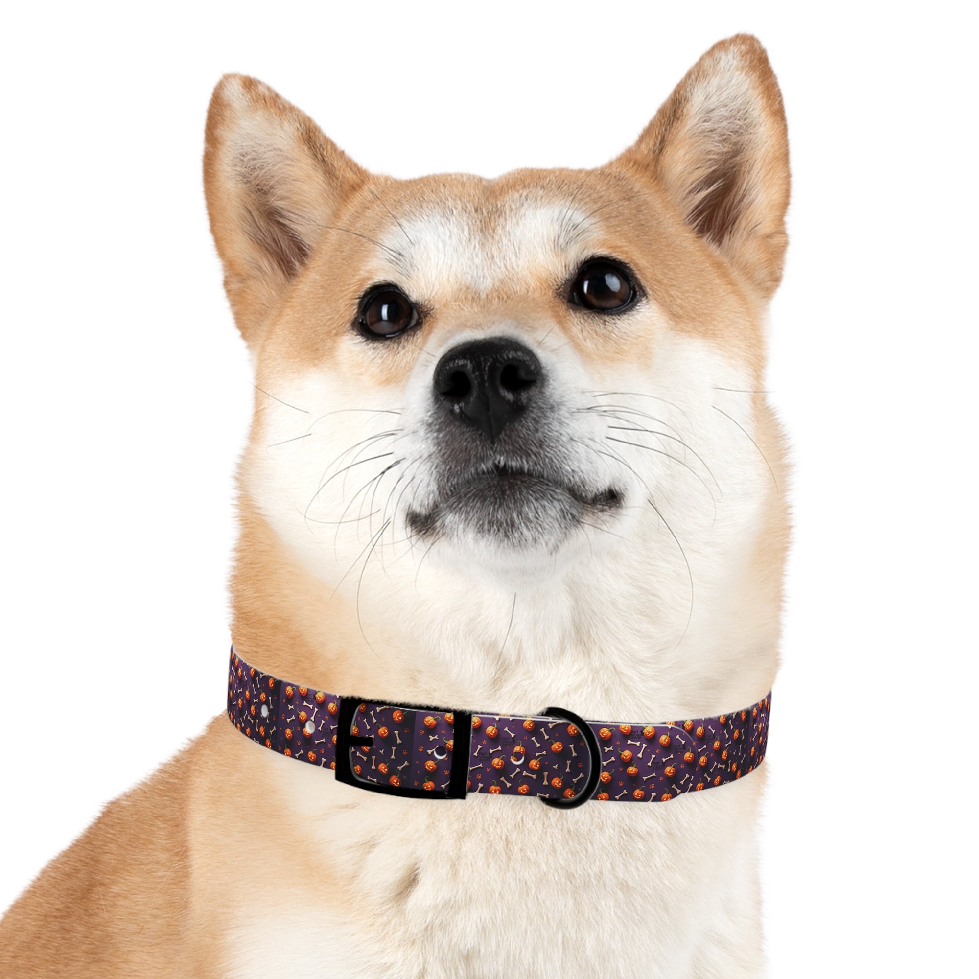 Whimsical Dog Collar, Pet Accessory, Stylish Collar for Dogs, Fun Dog Gear, Gift for Dog Lovers, Personalized Dog Accessory