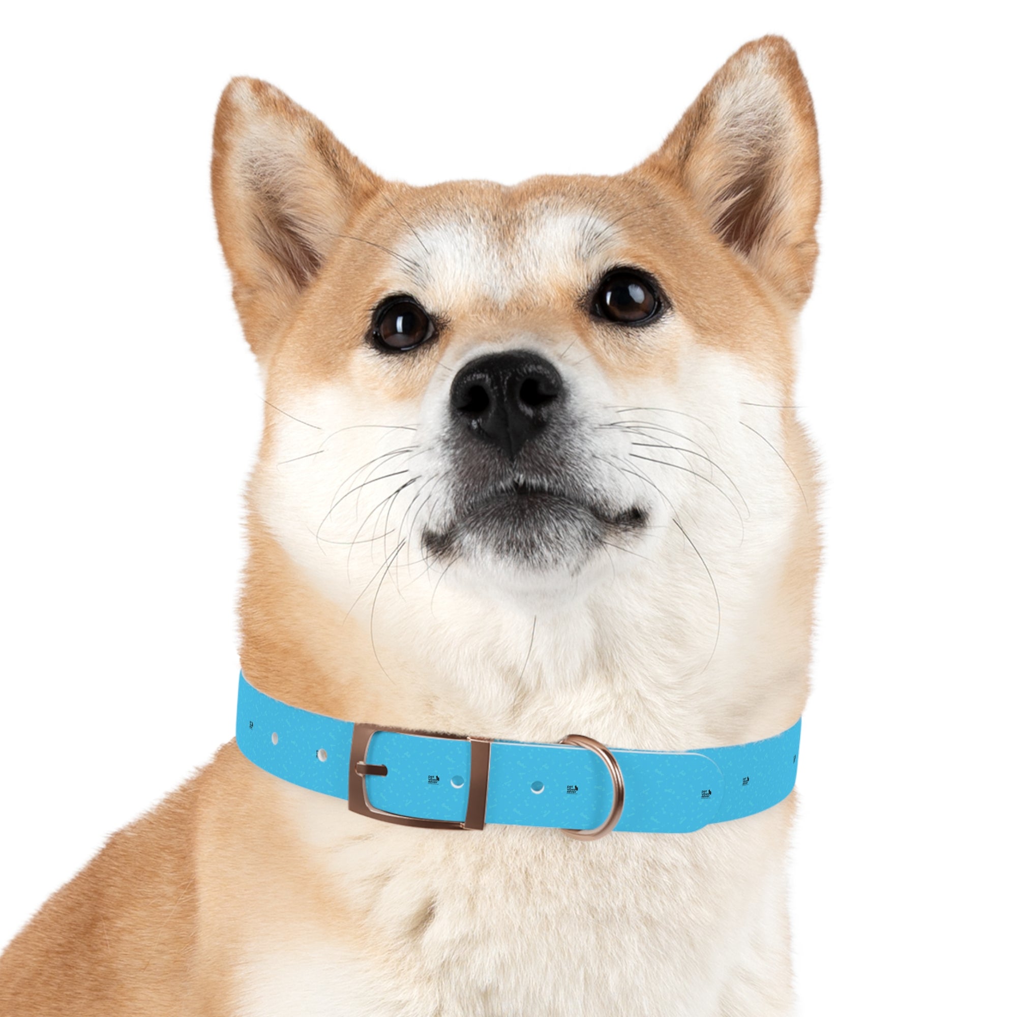 Stylish Dog Collar, Custom Pet Accessory for Dog Lovers, Adjustable Collar for Medium to Large Dogs, Perfect Gift for Pet Owners, Fun [...]