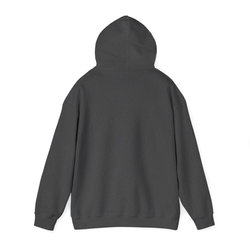 Red Sun Graphic Hoodie for Fans, Perfect for Cozy Days, Gifting, Festivals, and Casual Outings.