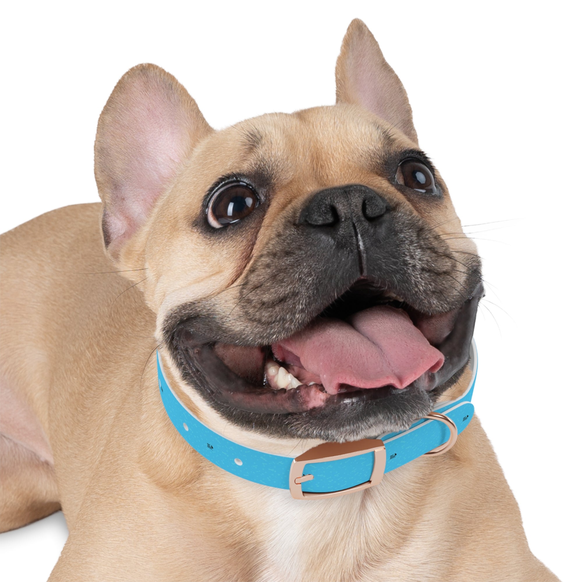Stylish Dog Collar, Custom Pet Accessory for Dog Lovers, Adjustable Collar for Medium to Large Dogs, Perfect Gift for Pet Owners, Fun [...]